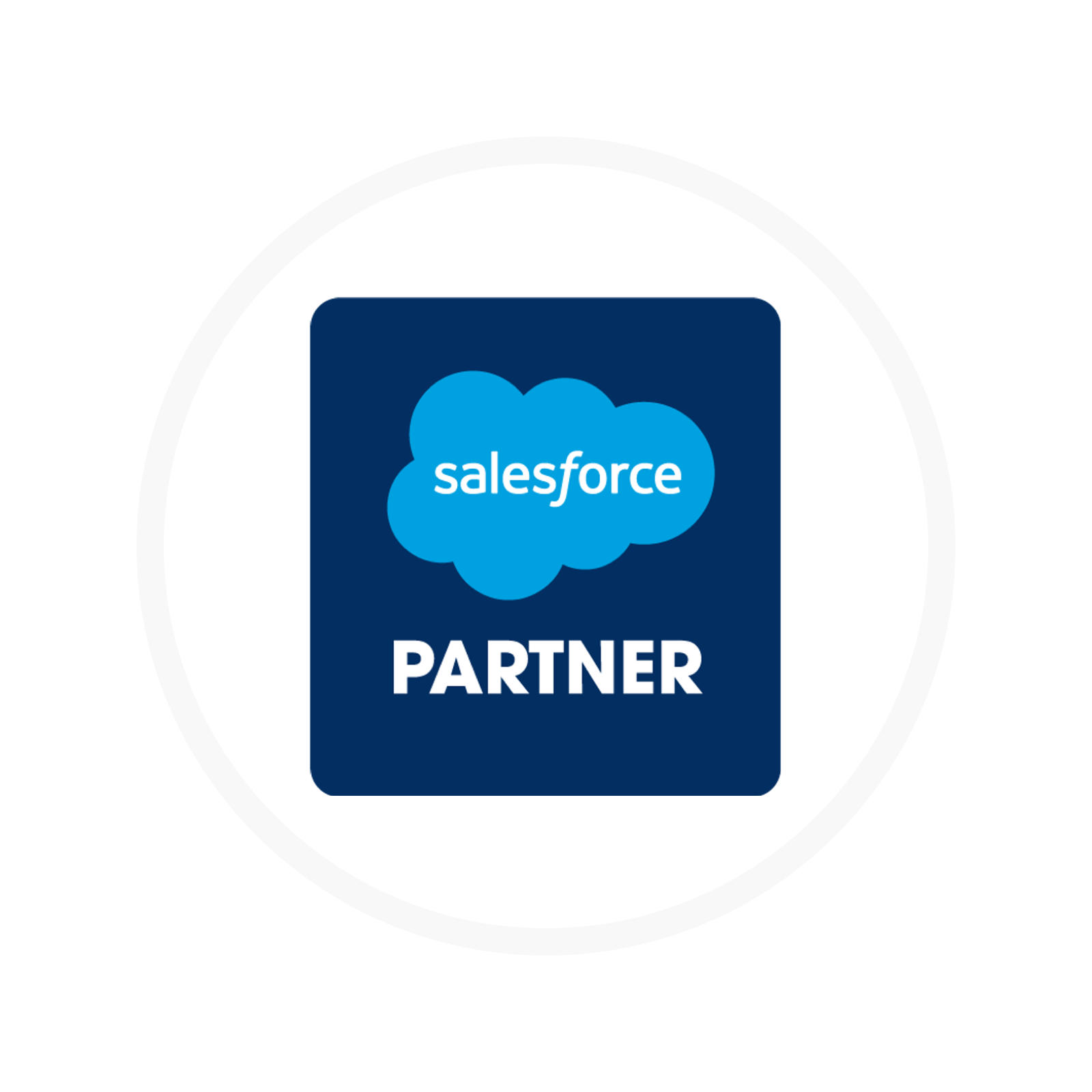 Salesforce Partner